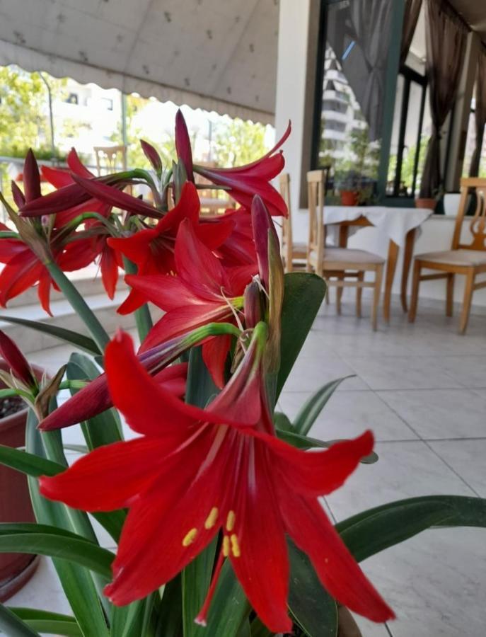 Hotel Rossi Vlore Bagian luar foto